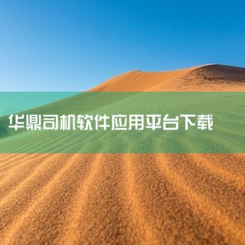 不同的司机端平台下载流程会有差异。一般来说，常见的步骤是先打开常用的第三方应用市场软件，在搜索栏输入对应的司机端平台名称，然后在搜索结果中找到该平台应用程序，点击下载并等待安装完成。1. 首先要确定自|