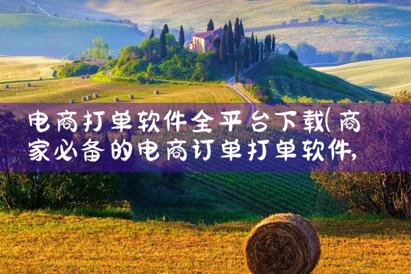 电商打单软件全平台下载