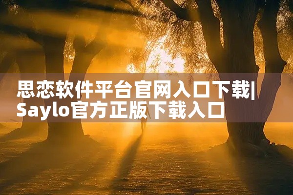 思恋软件平台官网入口下载