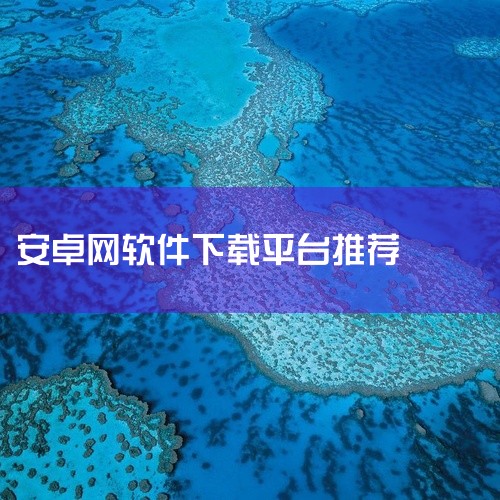 9663安卓网是一个提供安卓软件资源下载的网站，与之类似的有很多，比如当乐网、安智市场、应用宝等。一、当乐网：它是国内较早一批专注于手游和安卓软件分发的平台。拥有海量丰富的安卓应用，涵盖各种类型，无论,
