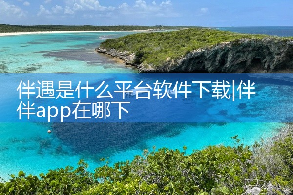 伴遇是什么平台软件下载