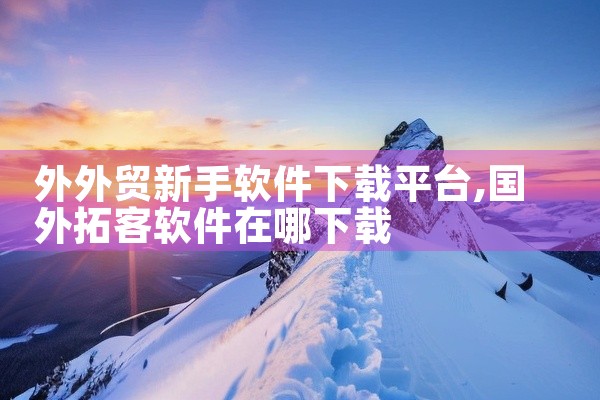 外外贸新手软件下载平台