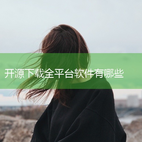 1. XMusicDownloader：多平台音乐下载工具核心功能支持从百度、网易云、QQ音乐、酷狗、咪咕等主流音乐平台...|