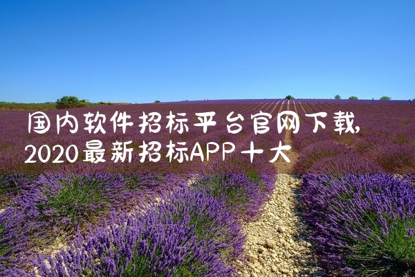 国内软件招标平台官网下载