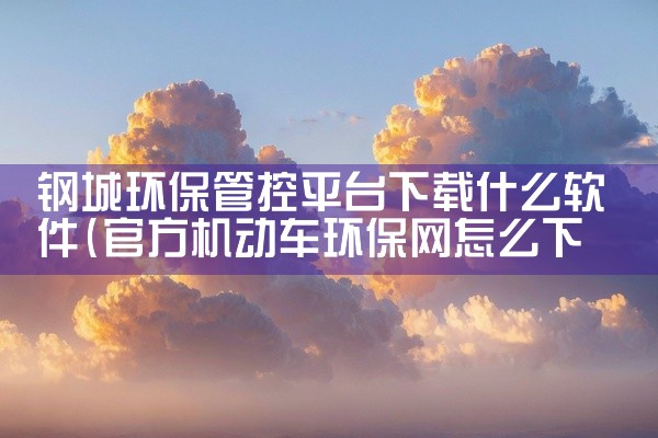 钢城环保管控平台下载什么软件