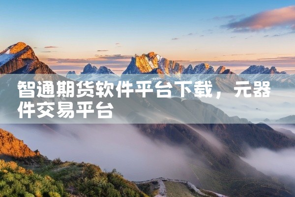 智通期货软件平台下载