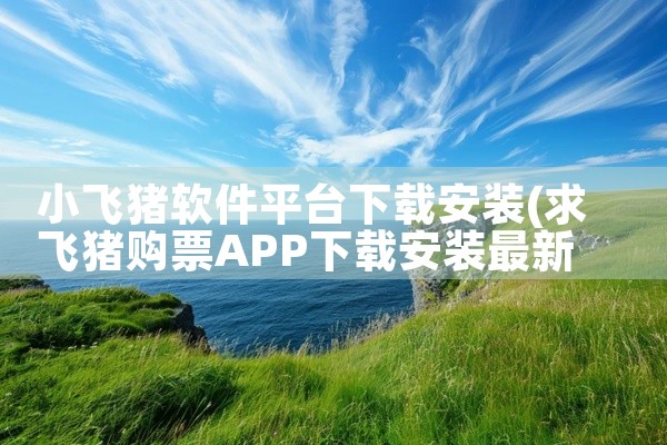 小飞猪软件平台下载安装