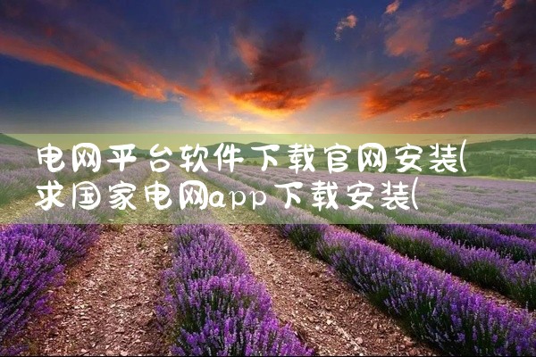 电网平台软件下载官网安装