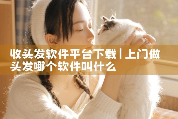 收头发软件平台下载