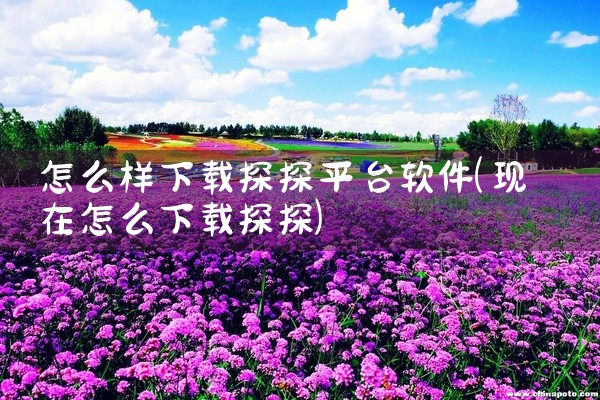 怎么样下载探探平台软件