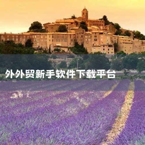 阿里全球速卖通Aliexpress手机版：阿里巴巴集团面向国际市场打造的在线交易平台，整合了订单管理、支付结算与物流追踪功能。该平台通过降低中小企业参与国际贸易的门槛，帮助其直接触达海外终端消费者，尤,