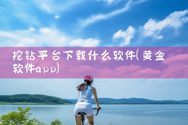 挖钻平台下载什么软件