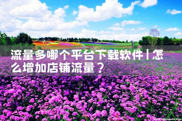 流量多哪个平台下载软件