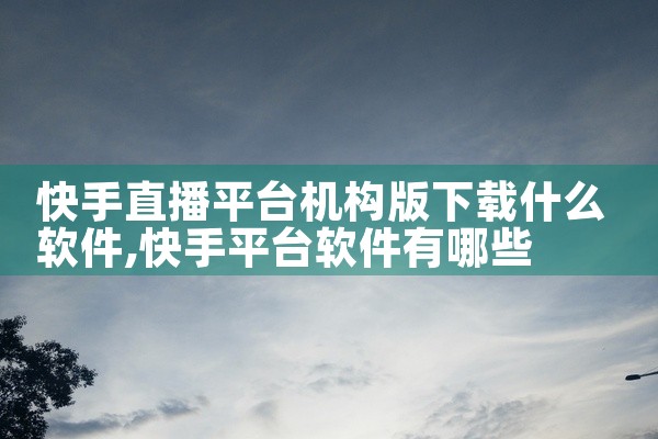 快手直播平台机构版下载什么软件
