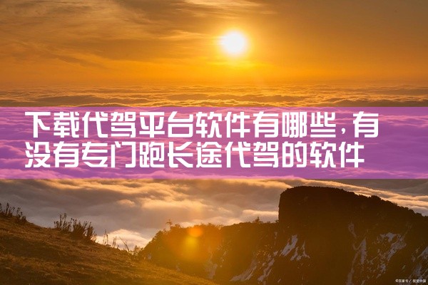 下载代驾平台软件有哪些