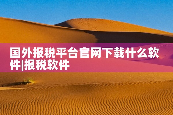 国外报税平台官网下载什么软件