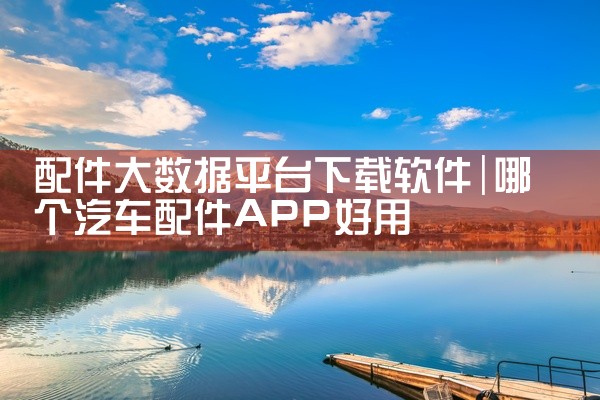 配件大数据平台下载软件