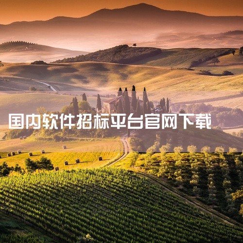 一、招标信息获取类软件1. 中国招标投标公共服务平台：这是官方性质的平台，整合了全国众多的招标信息，包括农村相关的基础设施建设、农业产业项目等招标内容。信息权威且全面，能让农村投标方及时了解各类招标动|